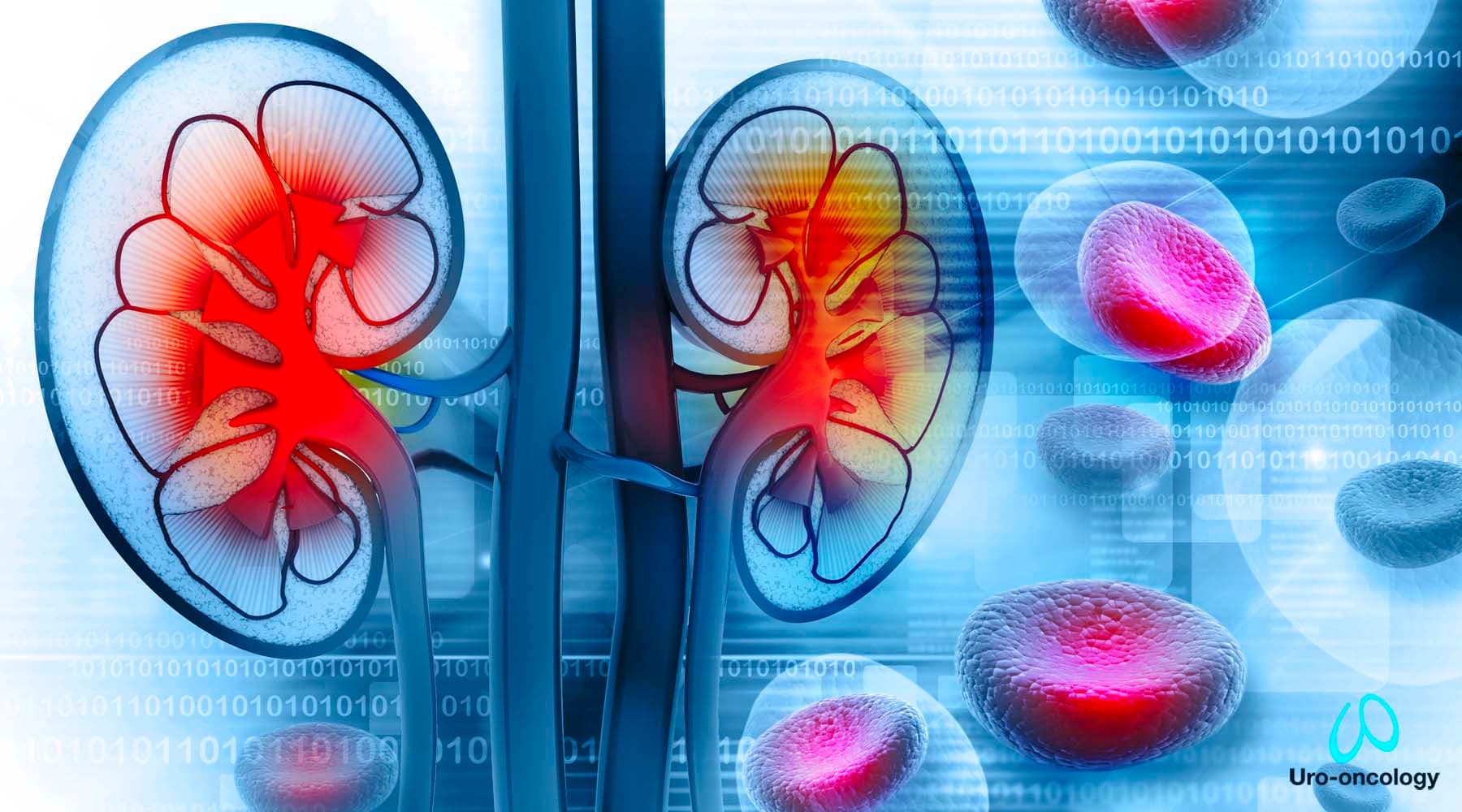 Prevención del cáncer minimizando factores de riesgo