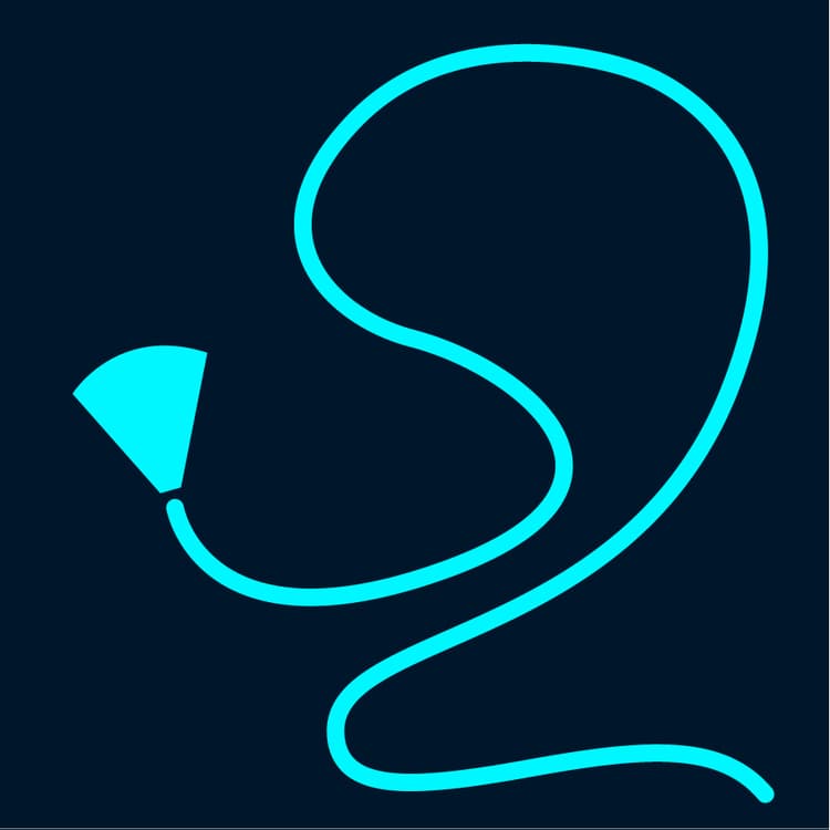 Cirugía Endourológica